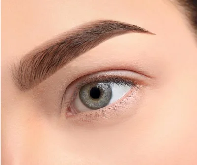 Eyebrow Transplant after result
